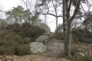 forêt des Grands Avaux